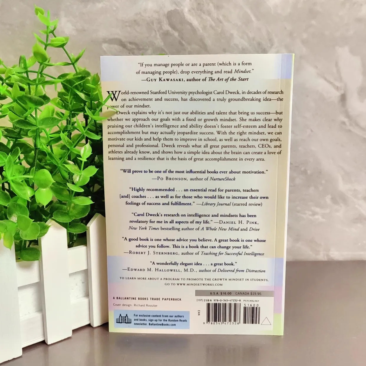 The New Psychology of Success by Carol Dweck Book