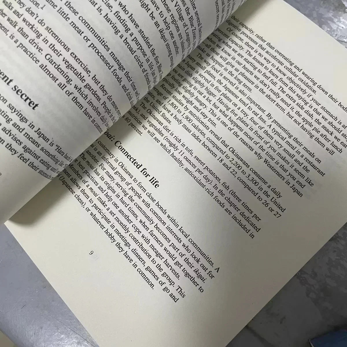 Japanese Secret to Happiness