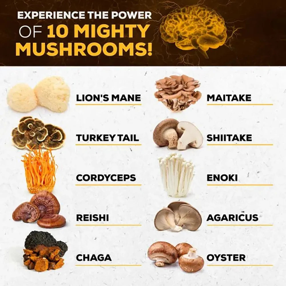 Mushroom Supplement 10X Complex for Brain Focus