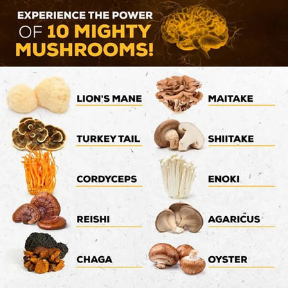 Mushroom Supplement 10X Complex for Brain Focus